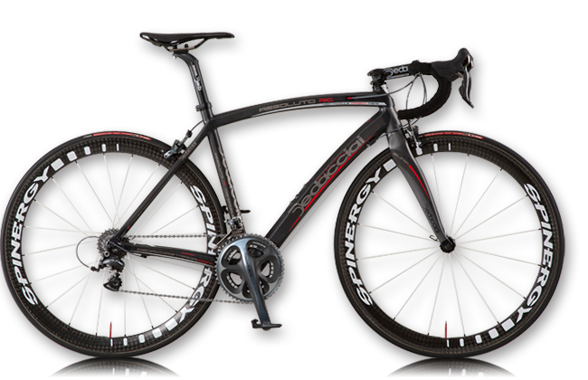 Dedacciai - STRADA ASSOLUTO