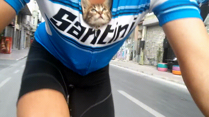 子猫がサイクリストの胸に収まっている件 ほっこりエピソード