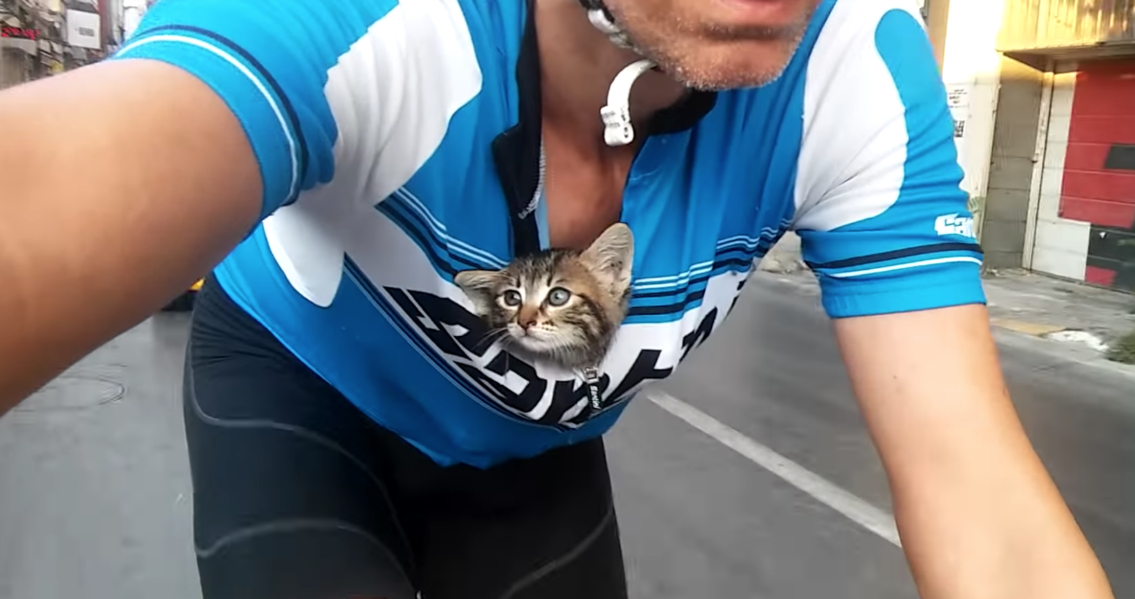 子猫がサイクリストの胸に収まっている件【ほっこりエピソード】