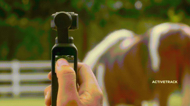 DJI OSMO Pocket action camera 14