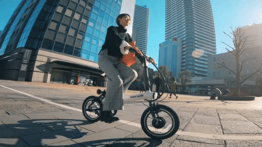 benelli mini Fold 16